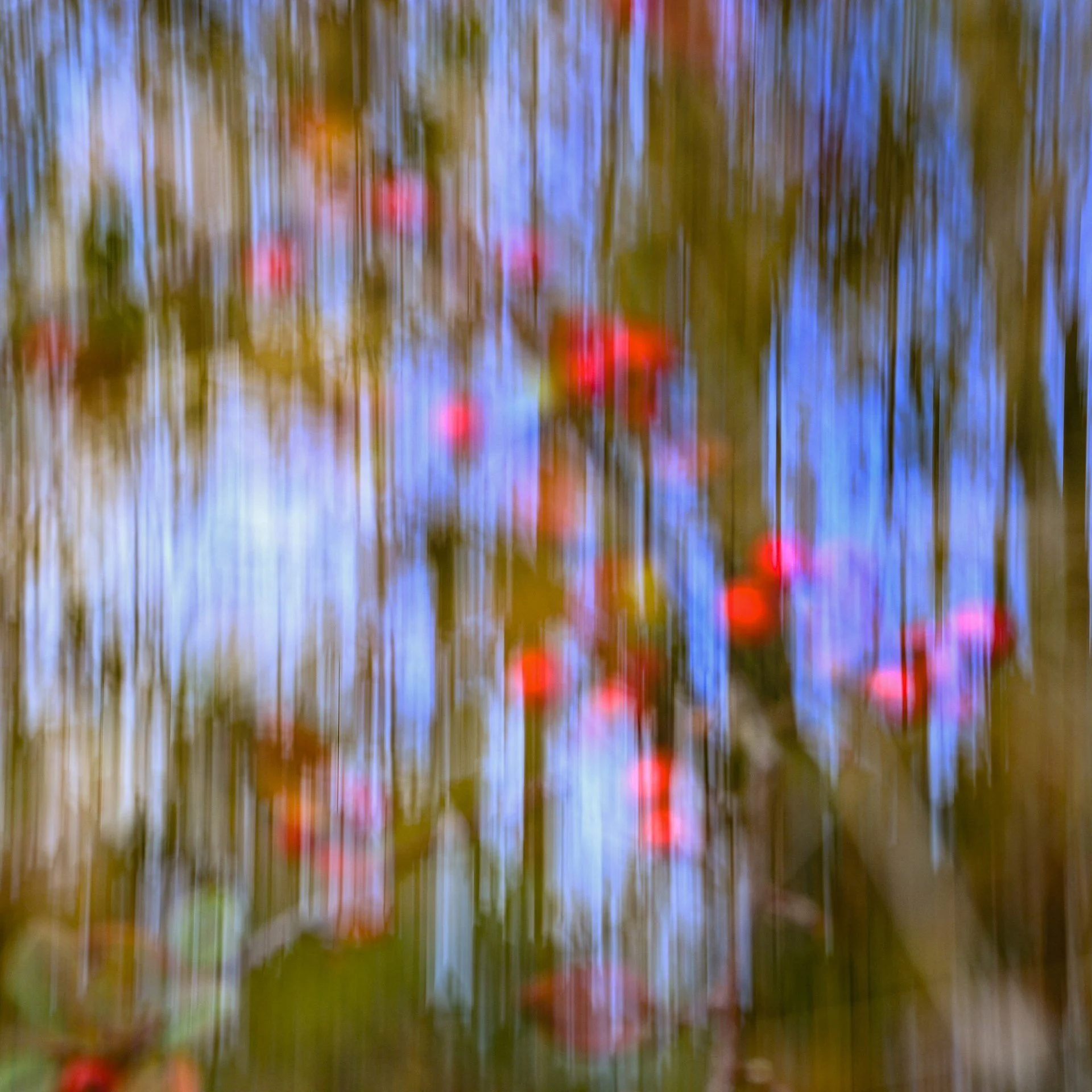 Wilde Photography Academy